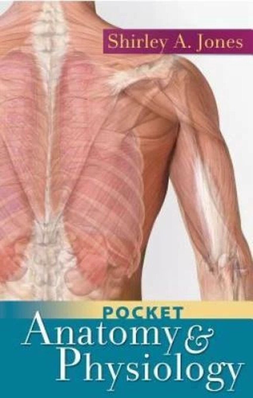 Pocket Anatomy and Physiology - Spiral-bound By Shirley A. Jones - GOOD